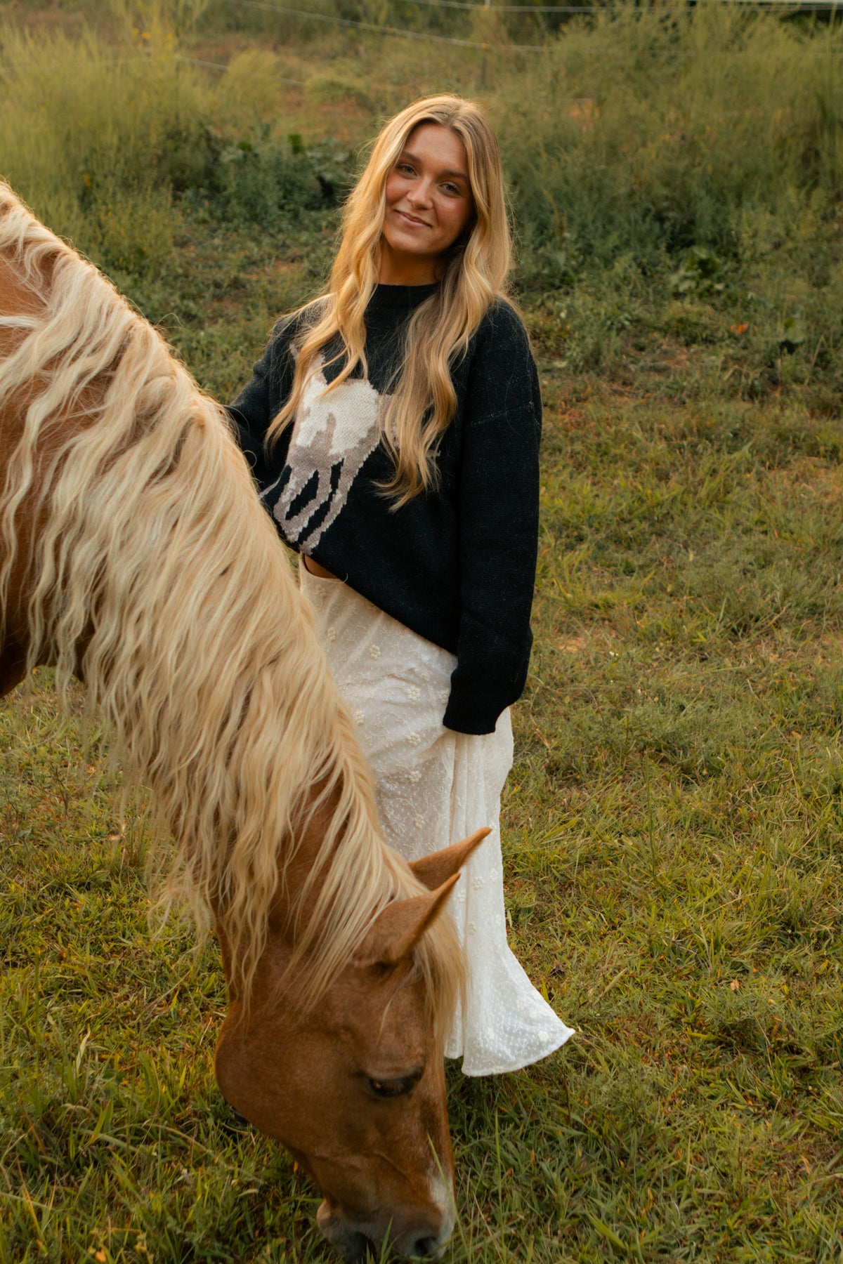 darlin ranch sweater