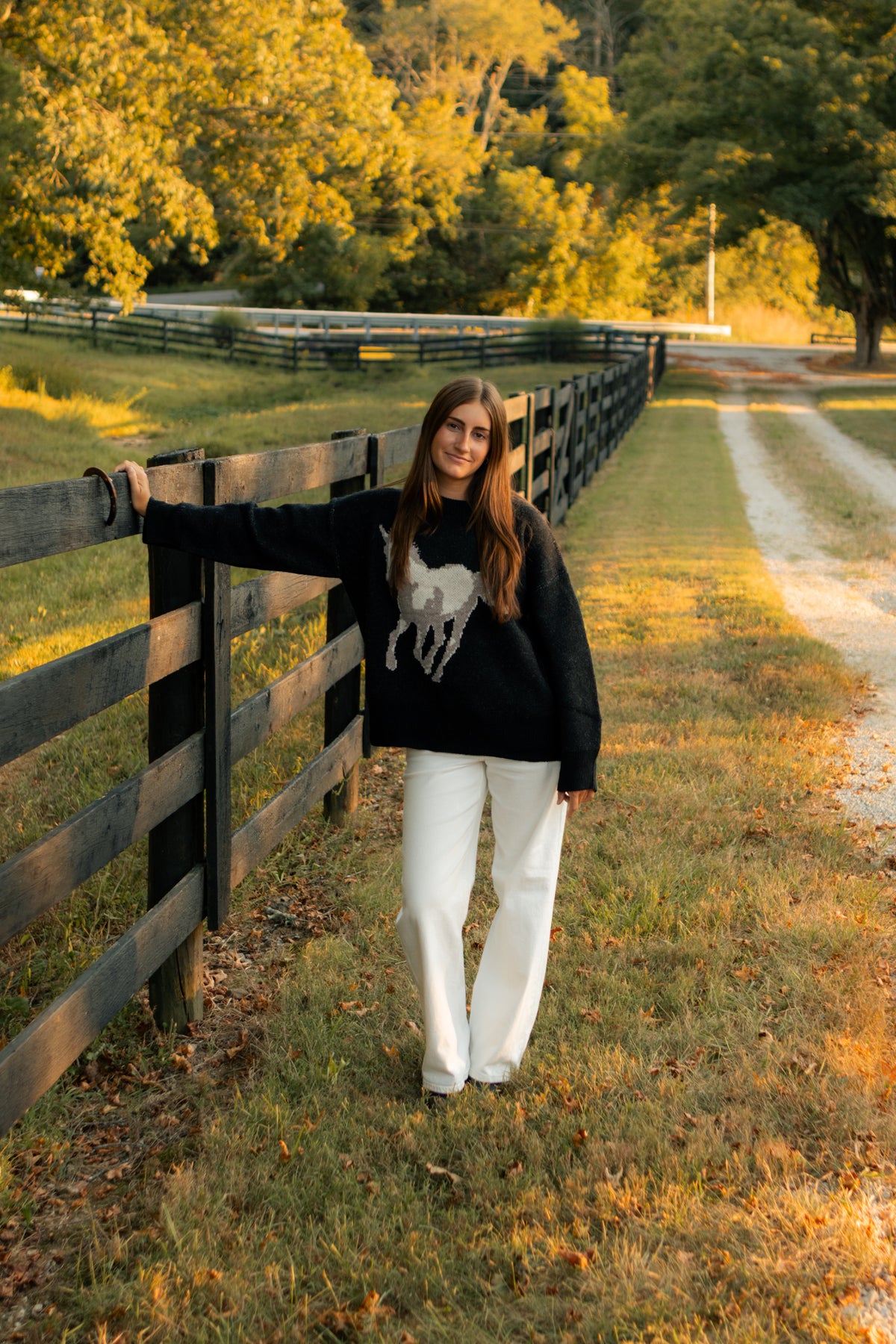 darlin ranch sweater